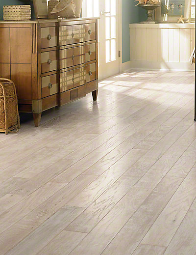 Coastal Art in the color Sand Dollar by Anderson Hardwood Floors