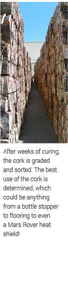 the cork is graded and sorted