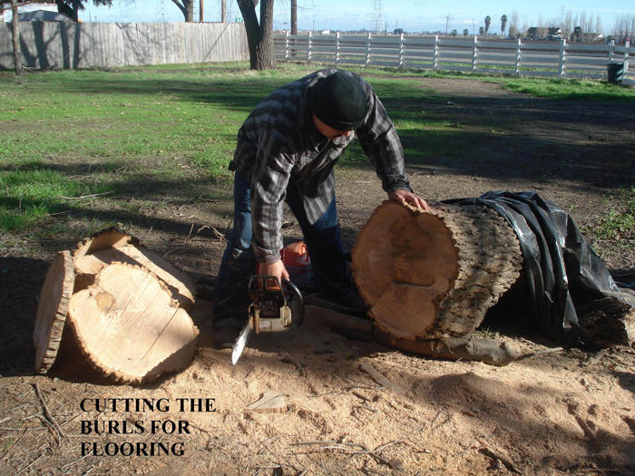 Man cutting tree into pieces for burl floor materials.