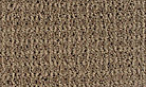 Carpet Flooring