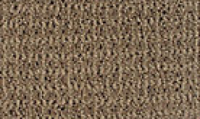 Carpet Flooring