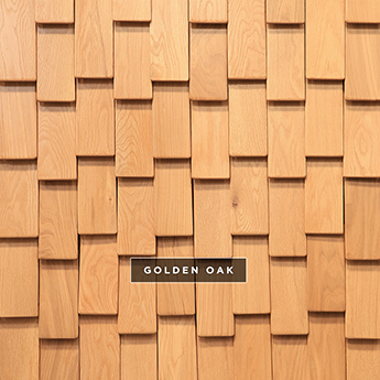 Curva Du Chateau wall covering sample in golden oak