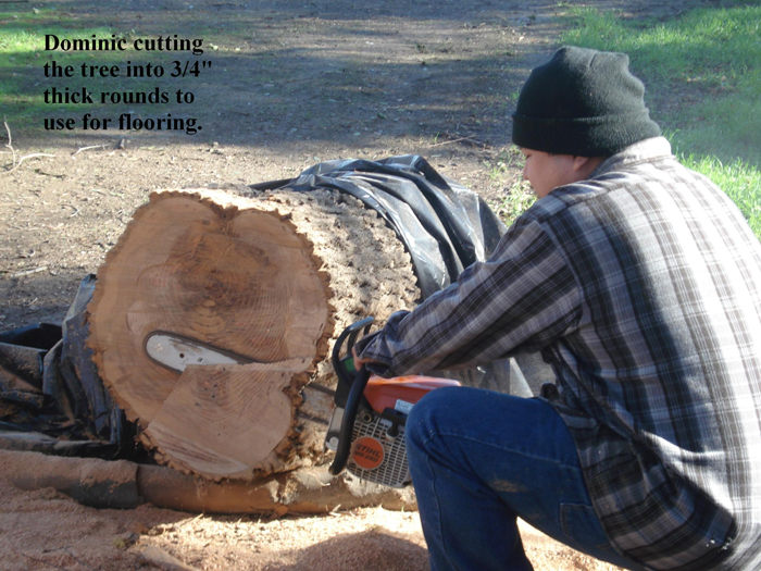 Man cutting a tree into pieces to make a burl floor