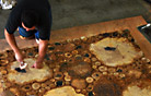 Installing custom log floor by hand.